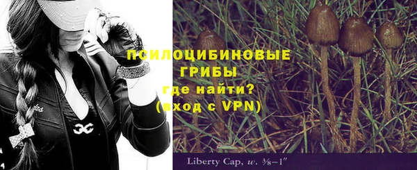 гашик Армянск