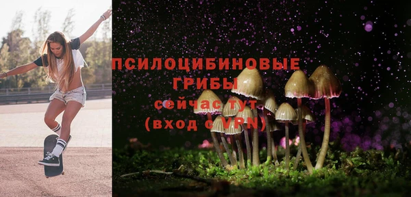 гашик Армянск