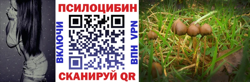 Галлюциногенные грибы Cubensis  это какой сайт  Ртищево 