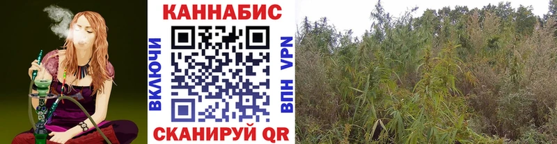 цены Ртищево Шишки марихуана гибрид